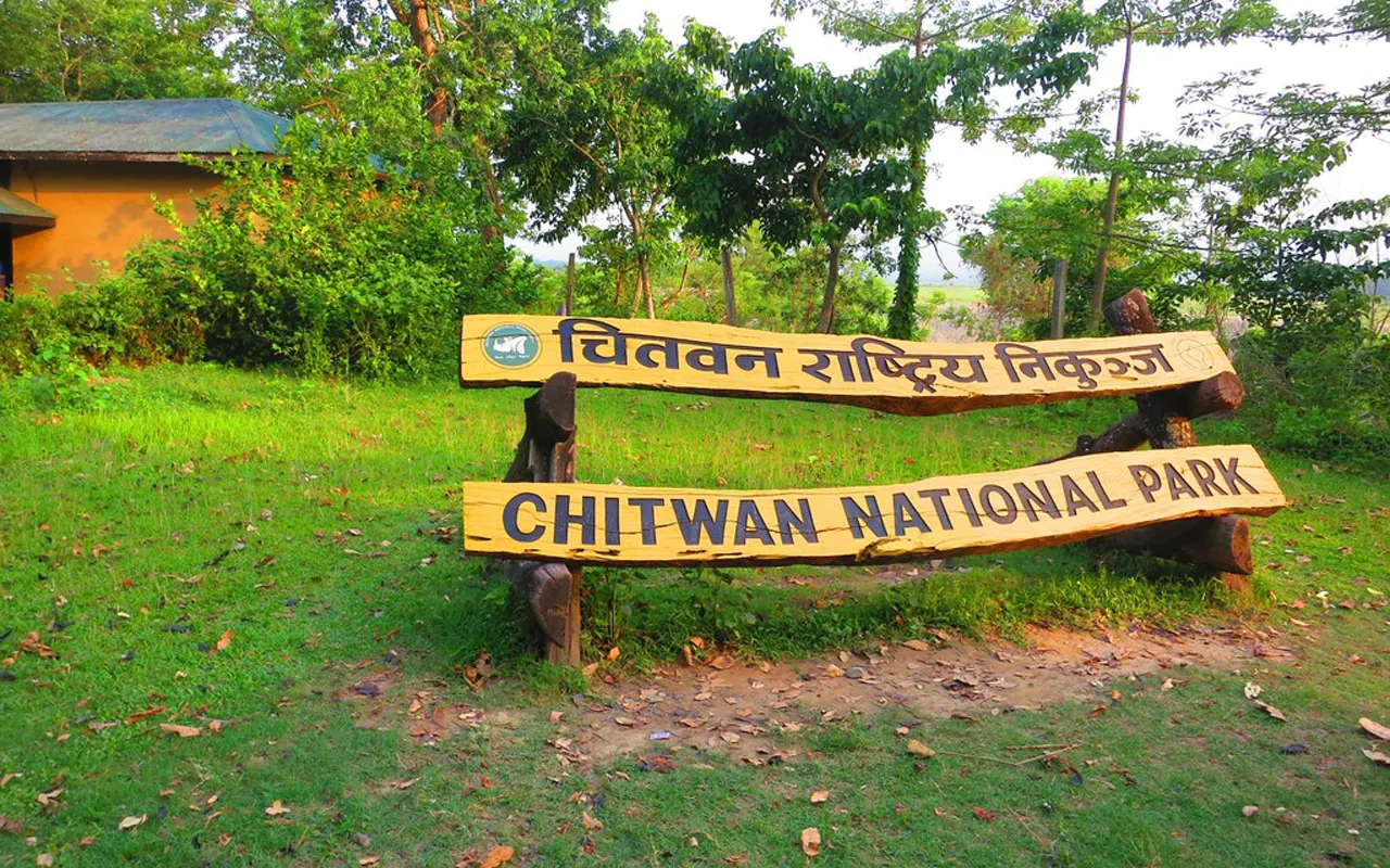 Chitwan National Park board - Chitwan Jungle Safari