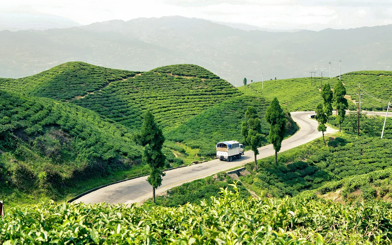 Ilam - Places to Visit on a Nepal Tour