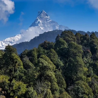 Mardi Himal Trek