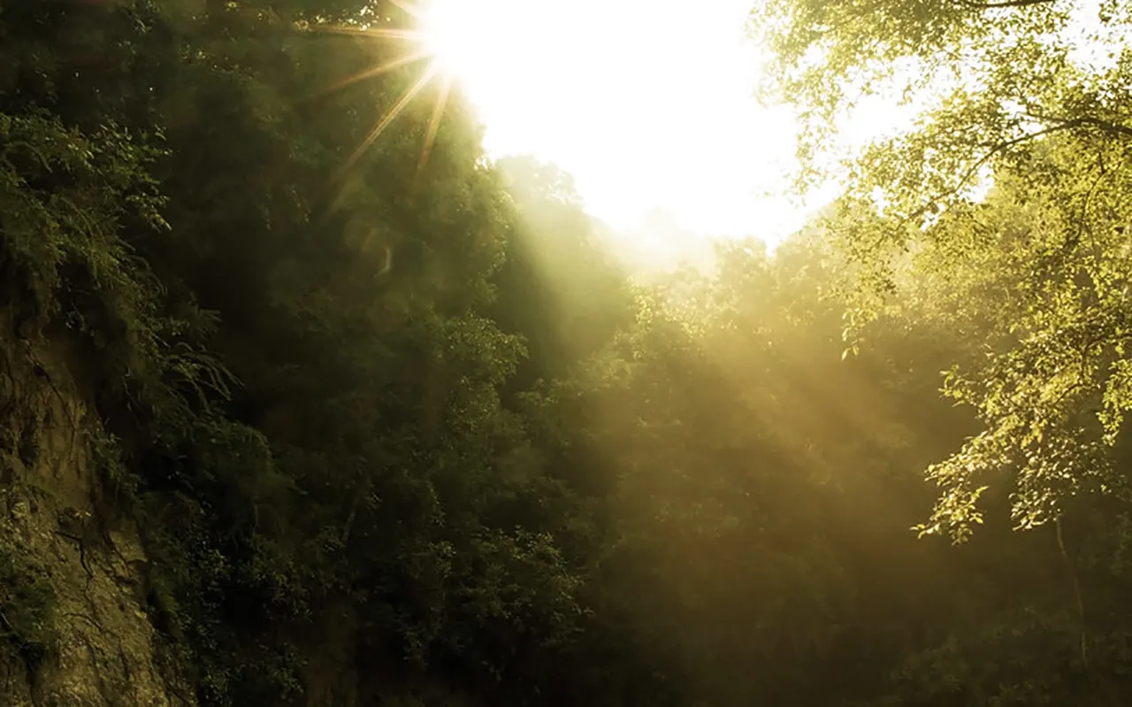 Easy Treks in Nepal: 10 Best Beginner-Friendly Trails for First-Time Trekkers